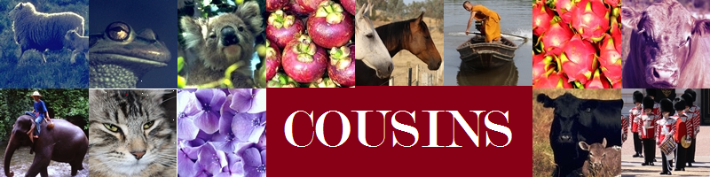 Cousins3